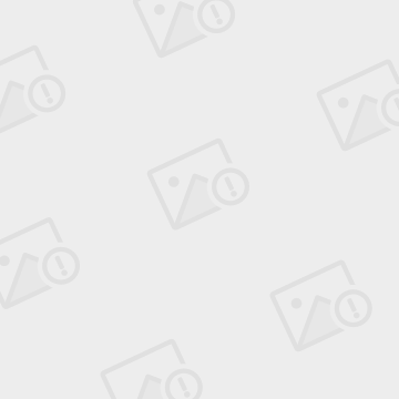 SEO优化-网站优化-百度排名