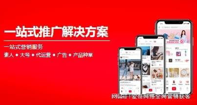 网站优化公司排行(图2) 网站优化公司排行(图2)