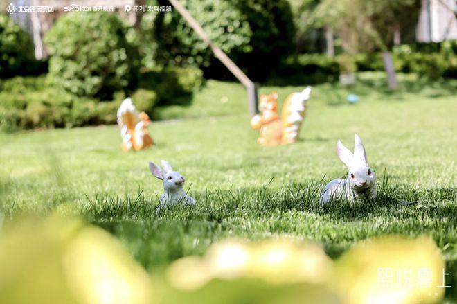 北京熙悦雲上官方网站（售楼处）熙悦雲上-2024最新首页-欢迎您(图11)