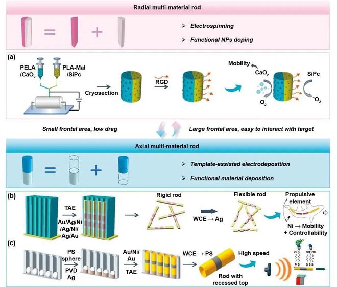 极端制造 微纳机器人的设计与制造(图3)